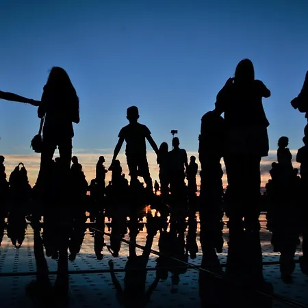Ivon Zadar